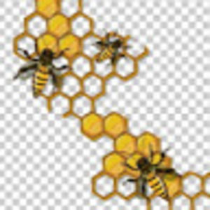 Meet your Posher, Cassie